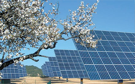 Solfarme jordplaceret